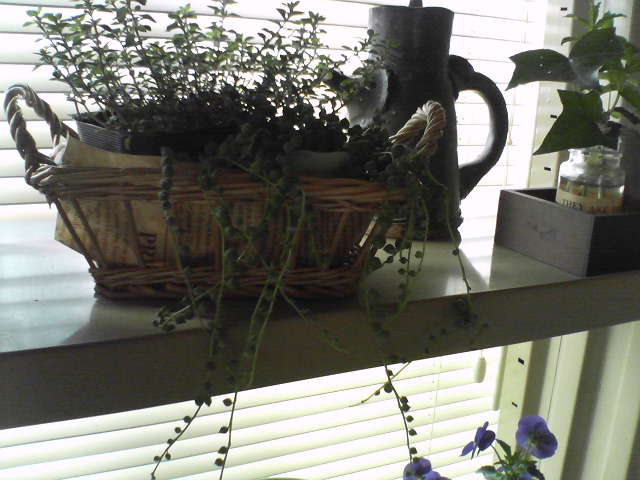 f0237037_1002492.jpg