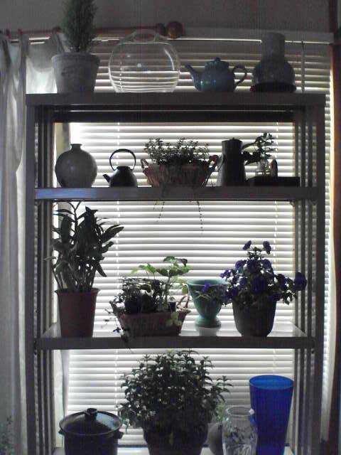 f0237037_1015052.jpg