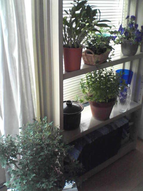 f0237037_1025751.jpg