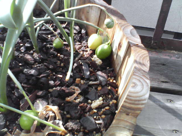 f0237037_9561184.jpg
