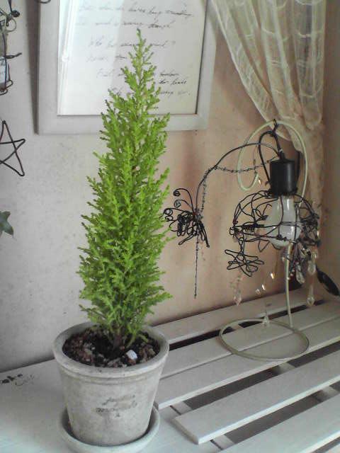 f0237037_9571727.jpg