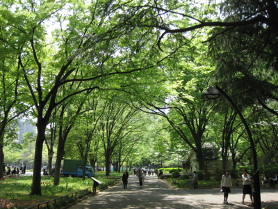 f0141840_8145371.jpg