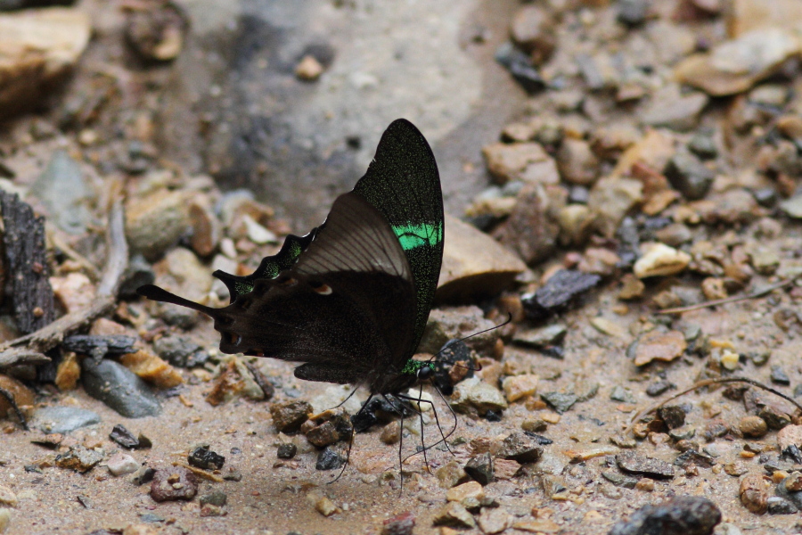 a0094850_22262598.jpg