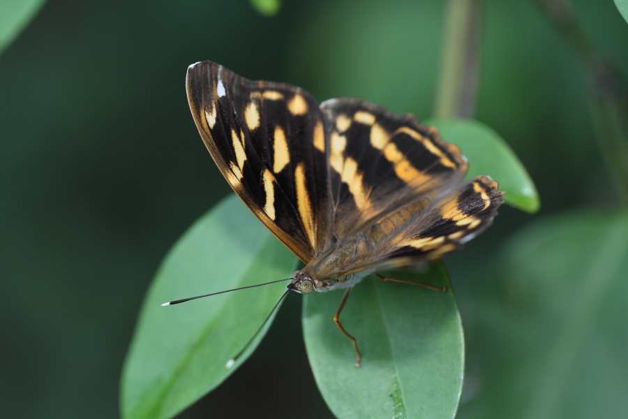 a0094850_233482.jpg