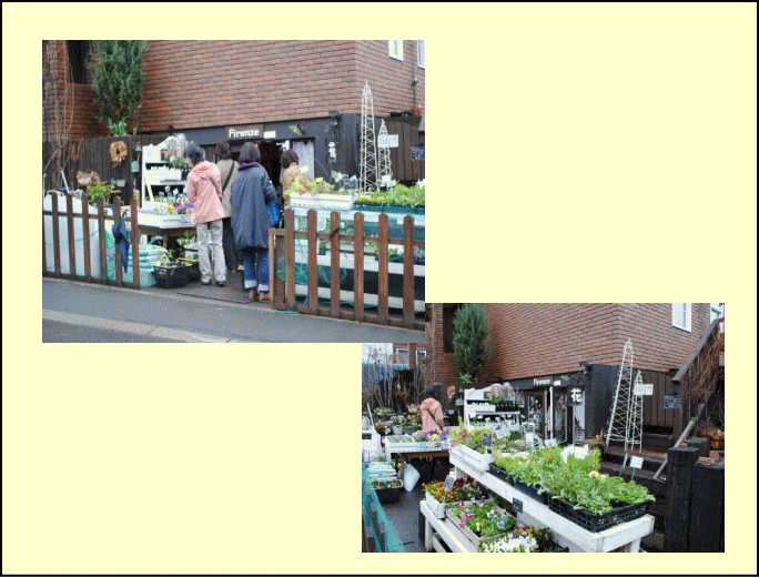 e0159050_22211274.gif