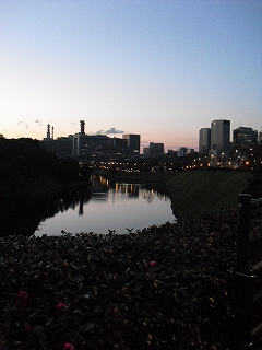 f0009451_14573361.jpg