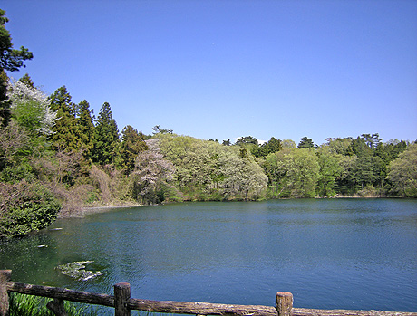 a0001354_2229370.jpg