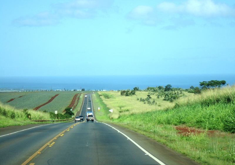 b0173754_47896.jpg