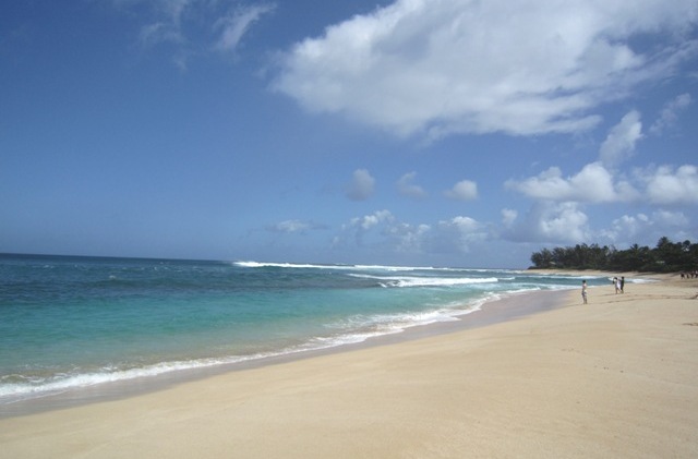 b0173754_492632.jpg