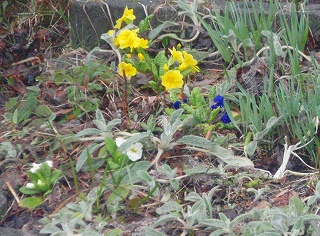 e0004756_20503662.jpg