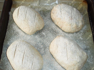 e0004756_20583396.jpg