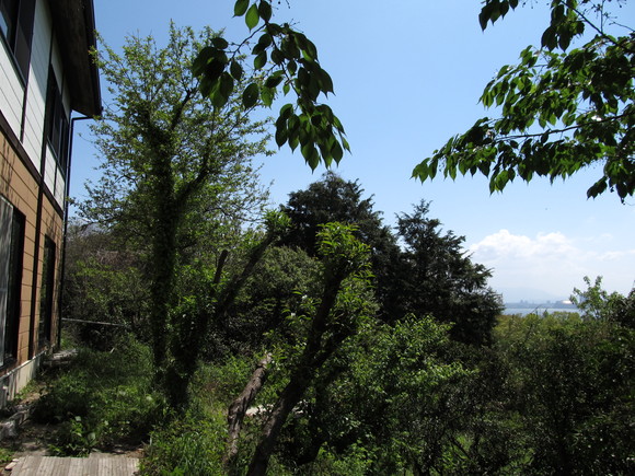 f0201157_19494785.jpg
