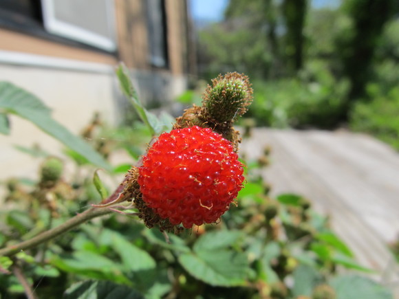 f0201157_19504252.jpg