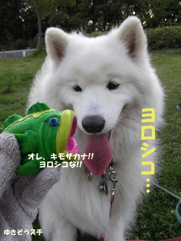 e0176159_14152133.jpg