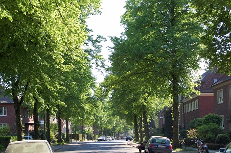 f0097363_1453136.jpg