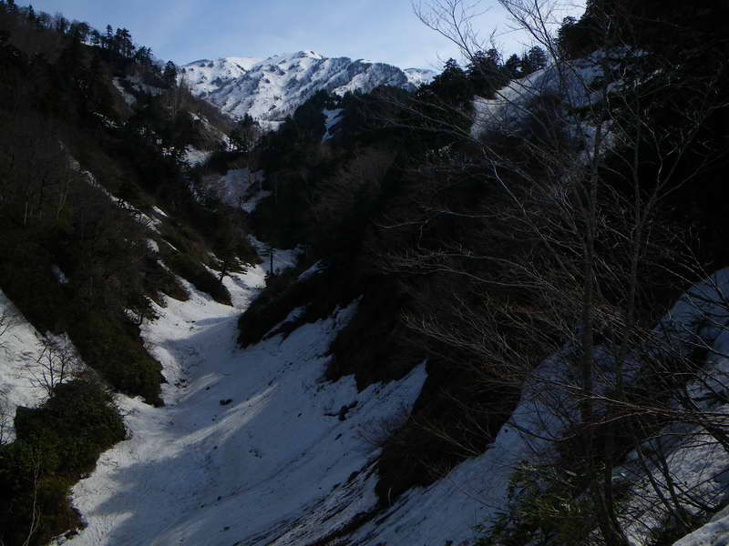 a0196565_1942896.jpg