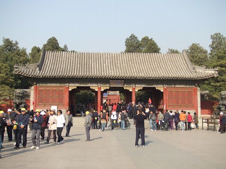 e0130465_962034.jpg