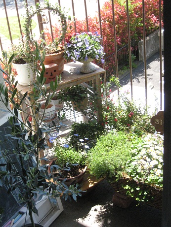 c0141268_222884.jpg