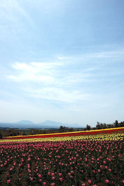b0170969_231344.jpg