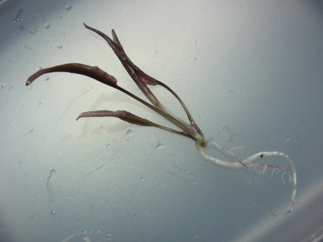 c0225669_2203847.jpg
