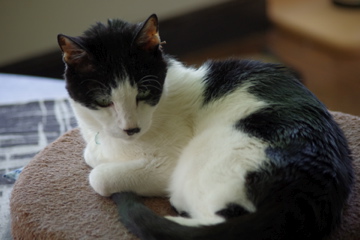 f0054677_4555142.jpg
