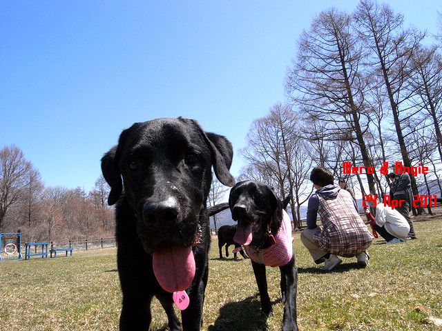 a0093592_7593379.jpg