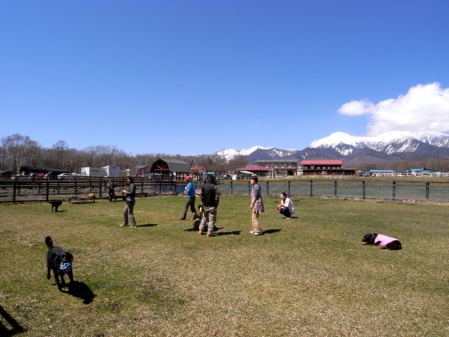 a0093592_81353.jpg