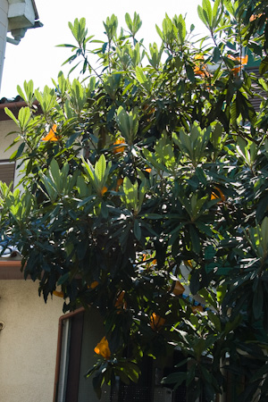 f0239100_10365.jpg