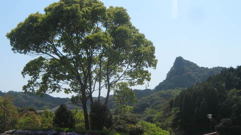 f0146802_21354891.jpg