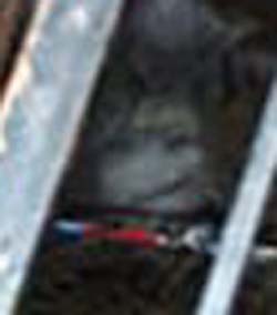 e0103408_1620425.jpg