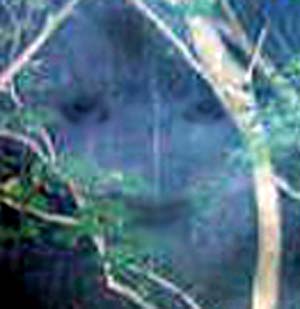 e0103408_16351356.jpg