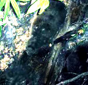 e0103408_23224310.jpg