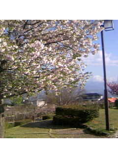 f0009509_19591429.jpg