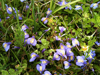 f0086618_1591457.jpg