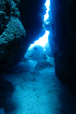 b0158923_16443277.jpg