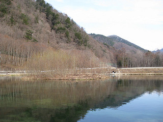 f0065341_8294435.jpg