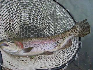 f0065341_8373827.jpg