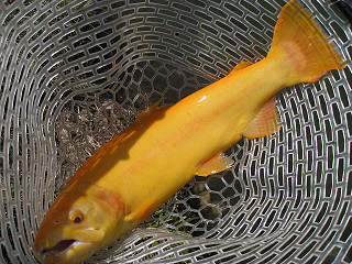f0065341_8375274.jpg