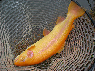 f0065341_8432587.jpg