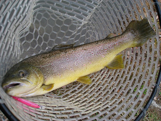 f0065341_846567.jpg