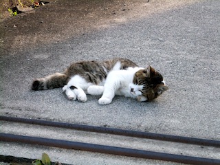 f0213347_239443.jpg