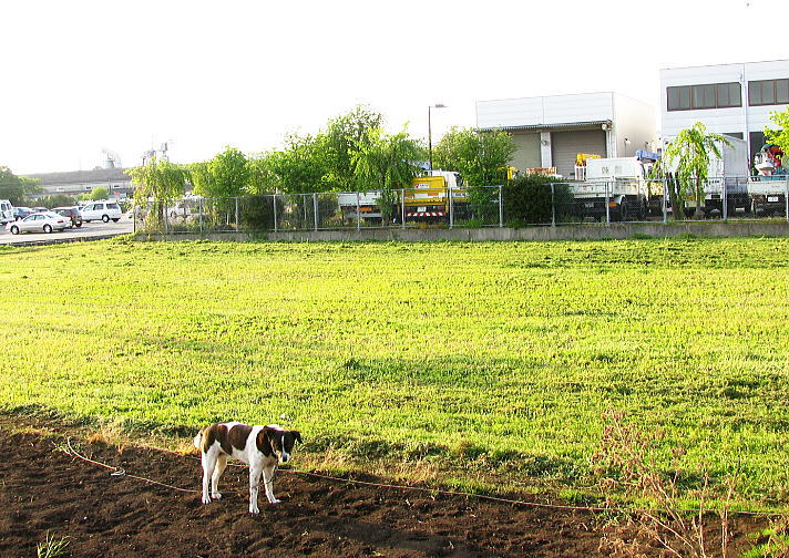 f0178858_183401.jpg