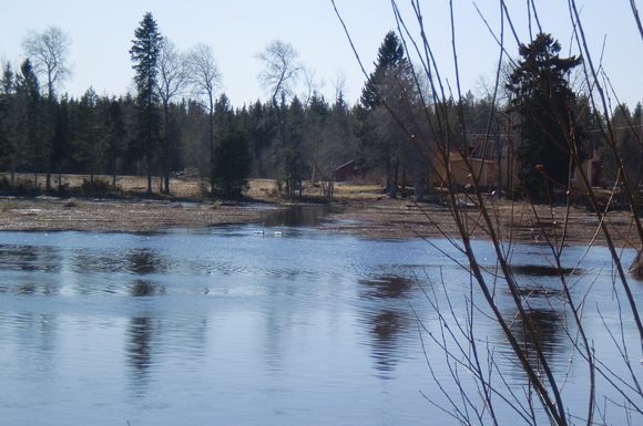 e0200659_3411299.jpg