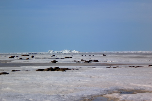 e0200659_3494416.jpg