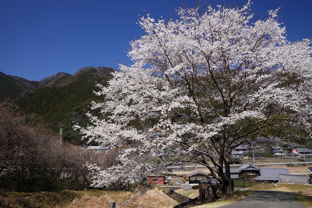 f0234862_1254273.jpg