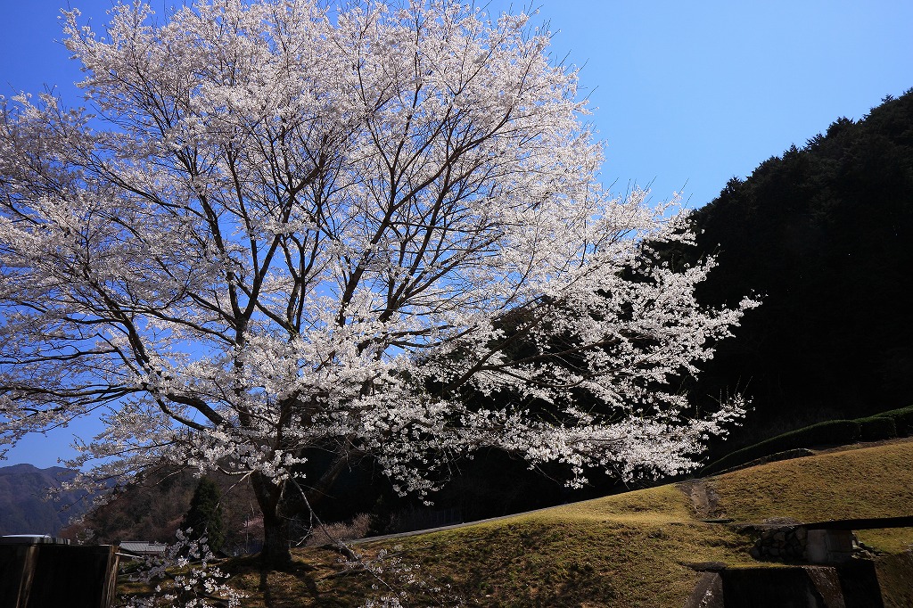 f0234862_1281439.jpg