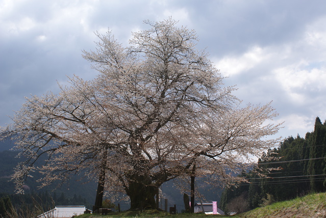 a0091666_20562628.jpg