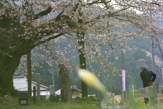 a0091666_213381.jpg