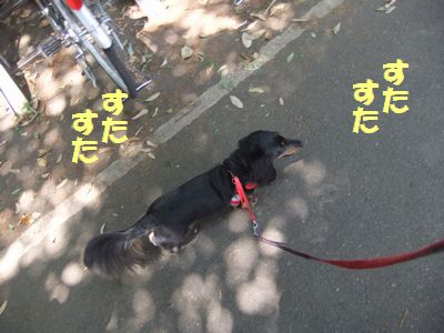 c0151866_2013169.jpg