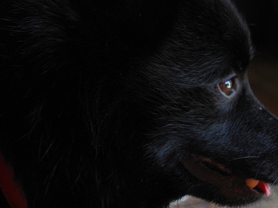 e0002466_2022514.jpg